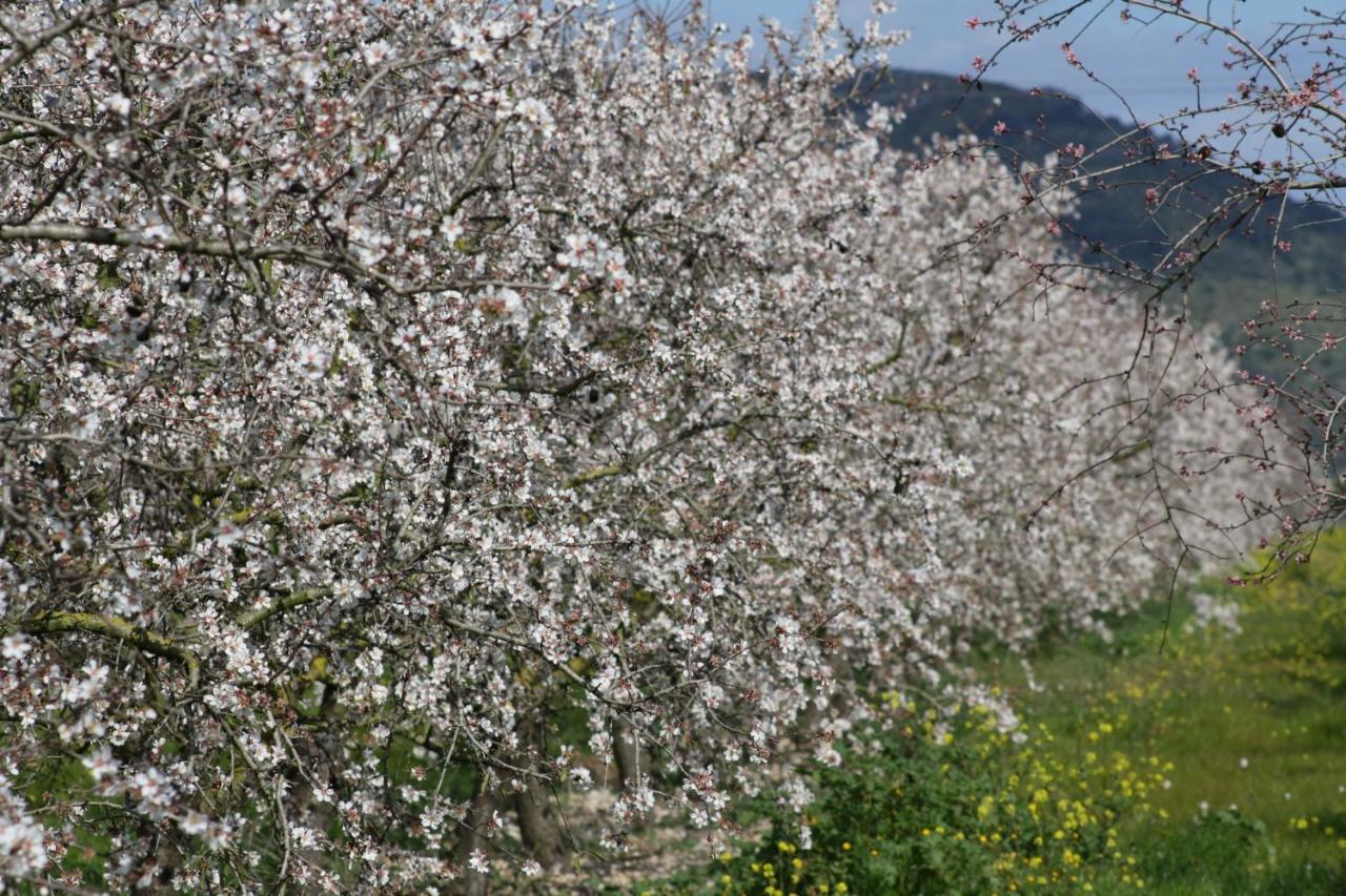 184 Finca Estret Etv3644 By Mallorca Charme Санта Маргалида Екстериор снимка